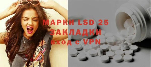 PSILOCYBIN Белокуриха