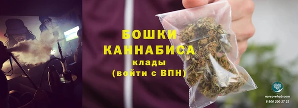 дмт Бородино