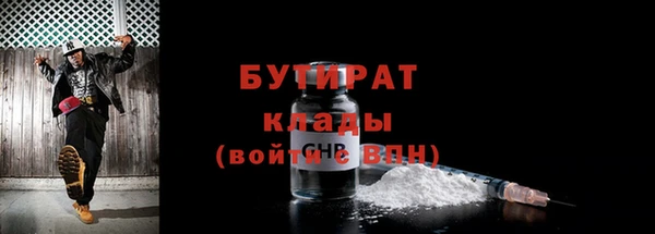 дмт Бородино