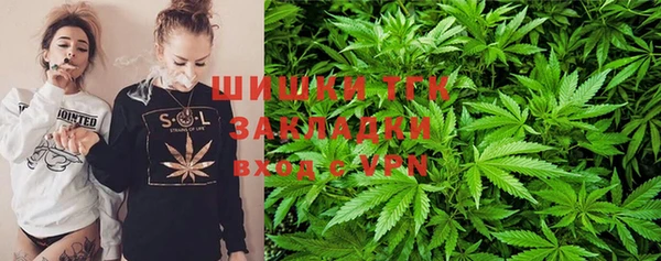 бошки Бронницы