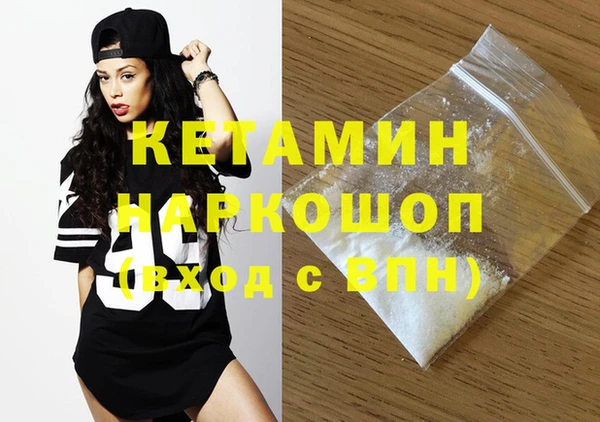 шишки Елизово