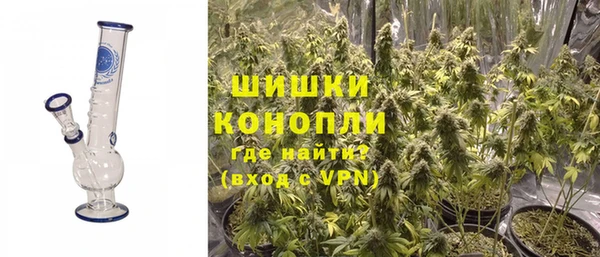 прущие грибы Бугульма