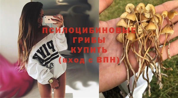 бошки Бронницы