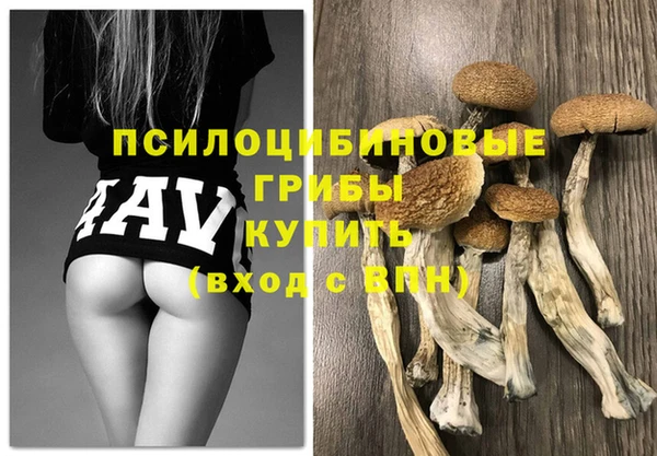 apvp Белоозёрский