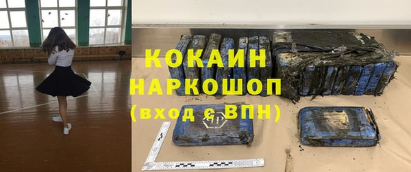 бошки Бронницы