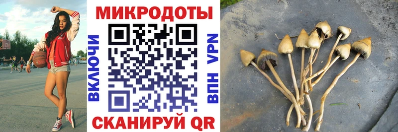 Псилоцибиновые грибы Psilocybine cubensis  как найти   Ишимбай 