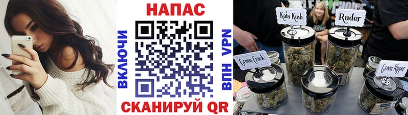 Бошки Шишки план  гидра онион  Ишимбай  дарнет шоп 